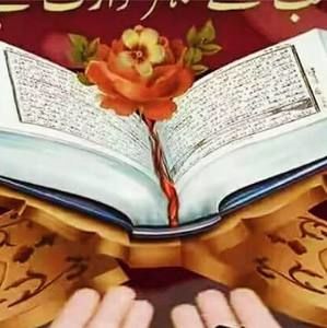 Meet your Posher, Rahiana